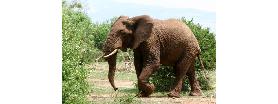 The $108 Billion Man Who Has Beaten the Market