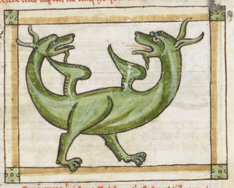 An Amphivena, at war with itself. From the bestiary in a religious text in one of the Harley manuscripts, ca. 1236-1250, in the British Library.